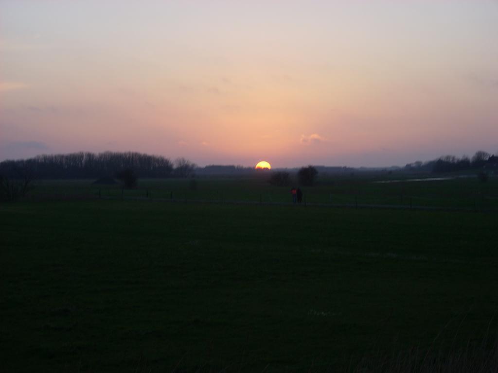 Wiesenblick Pellworm Bagian luar foto