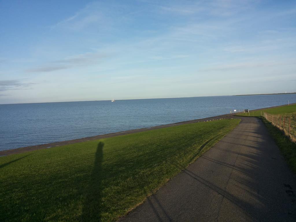 Wiesenblick Pellworm Bagian luar foto