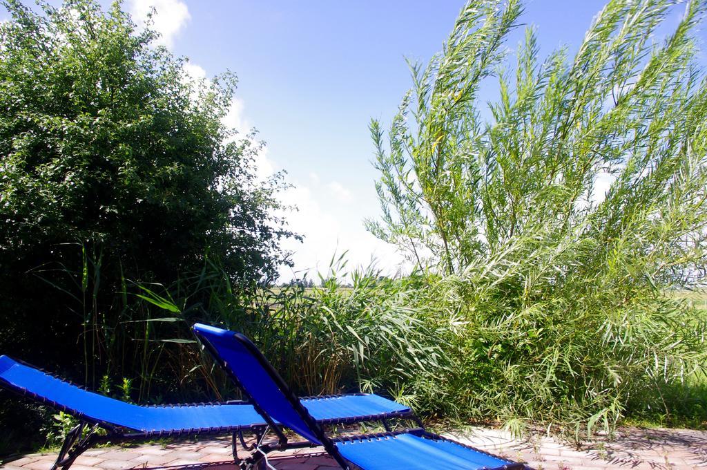 Wiesenblick Pellworm Ruang foto